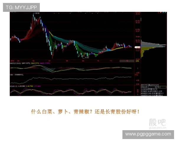 探索白菜博客资源论坛:分享与交流的最佳平台