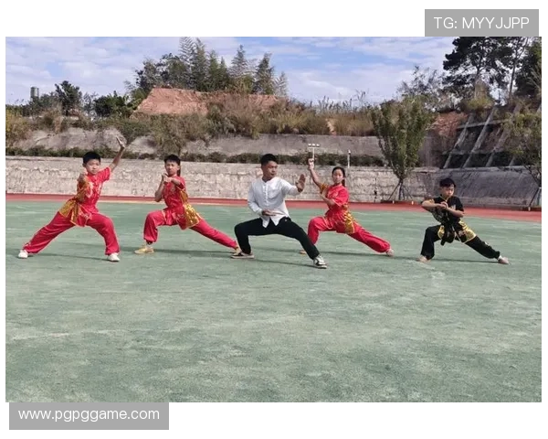 2026全国武术比赛:展现中华传统武艺的盛会与精彩对决